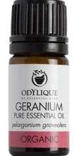 Odylique by Essential Care organiczny olejek eteryczny Geranium, 5 ml