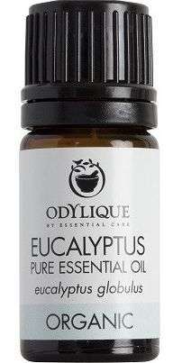 Odylique organiczny olejek eteryczny Eukaliptus, 10 ml